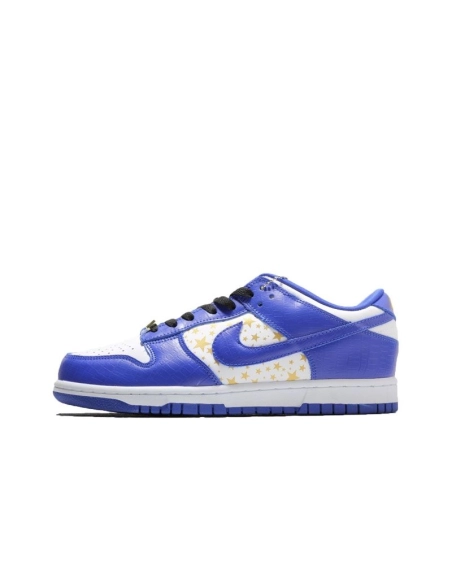 SB DUNK LOW,SB DUNK,NIKE SHOES,DH3228-100