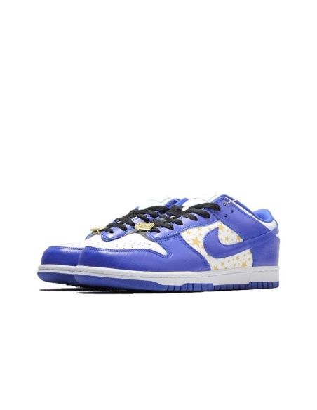 SB DUNK LOW,SB DUNK,NIKE SHOES,DH3228-100