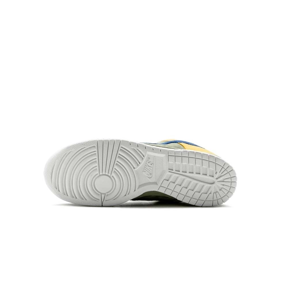 SB DUNK LOW,SB DUNK,NIKE SHOES,313170-341