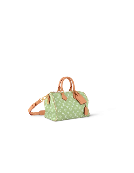 Louis Vuitton M14064 SPEEDY P9 BANDOULIeRE 30 BAG,Speedy,LOUIS VUITTON,BAGS