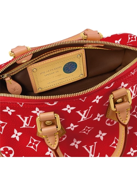 Louis Vuitton M24425 Speedy P9 Bandouliere 25,Speedy,LOUIS VUITTON,BAGS