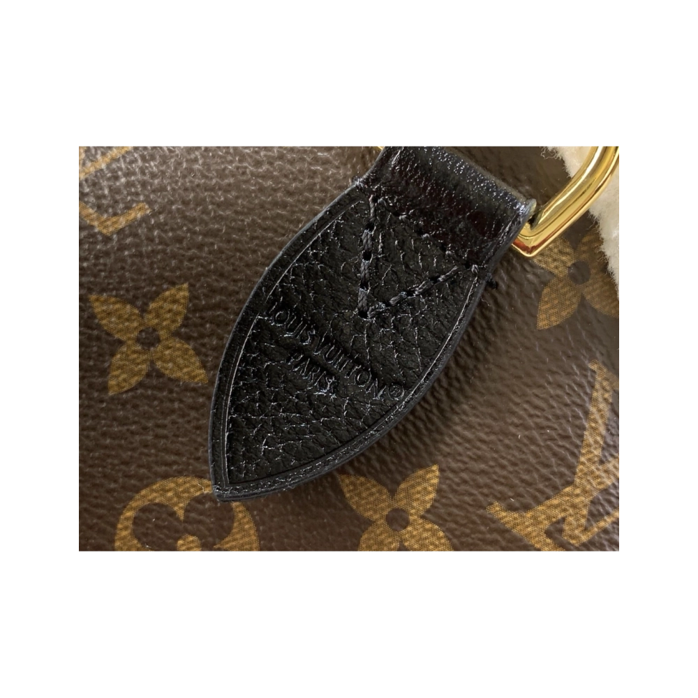 Louis Vuitton M26326 SPEEDY SOFT 30 TEDDY,Speedy,LOUIS VUITTON,BAGS