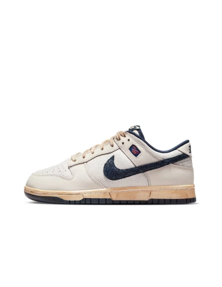 SB DUNK LOW,SB DUNK,NIKE SHOES,IH6766-001
