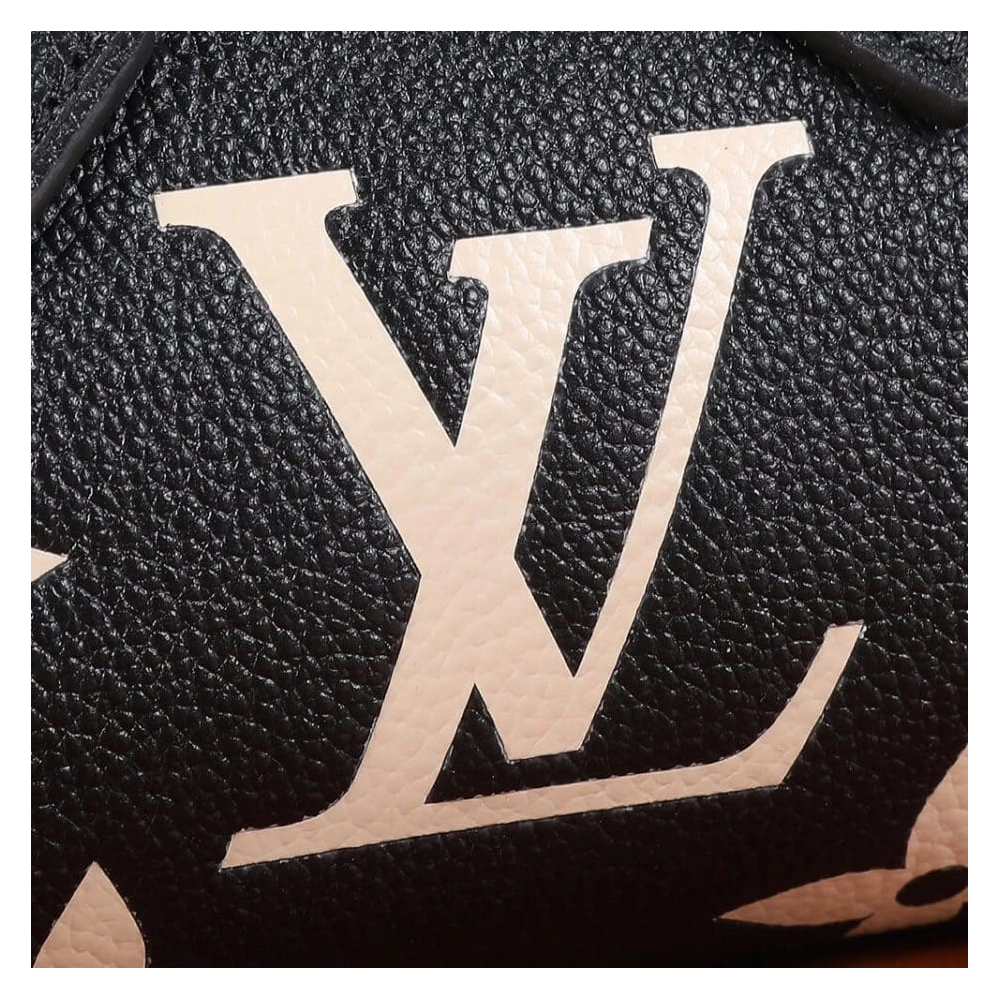 LOUIS VUITTON Nano Speedy M81456,Speedy,LOUIS VUITTON,BAGS