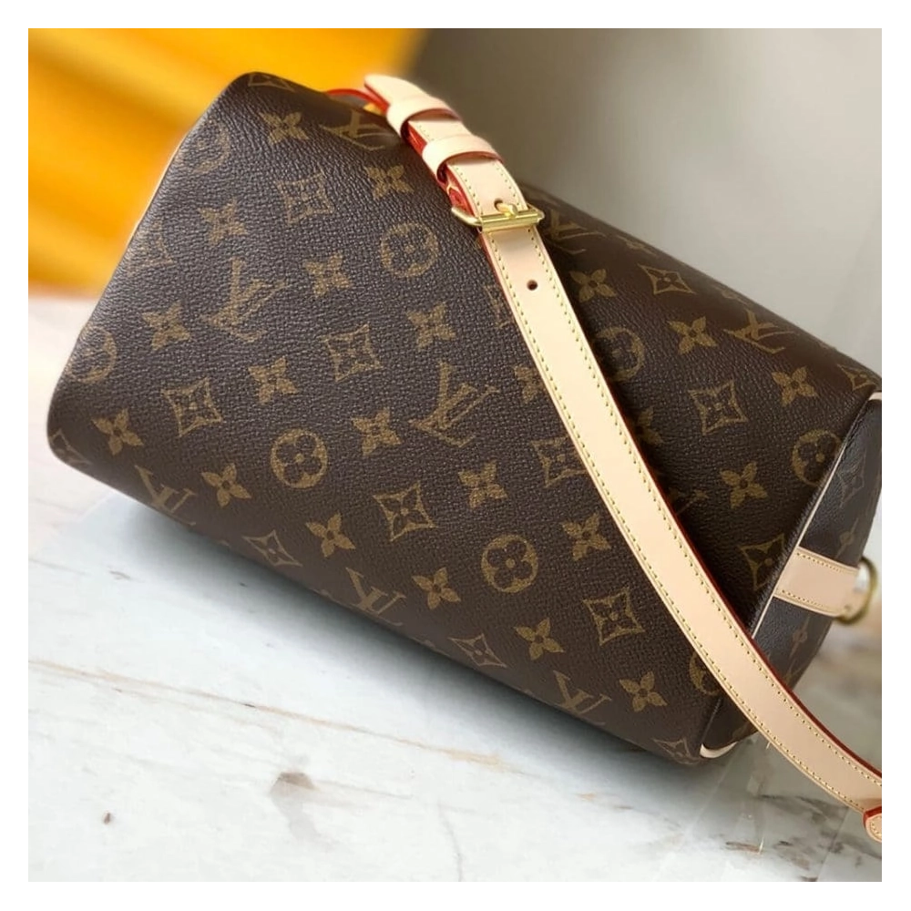 LOUIS VUITTON SPEEDY BANDOULIERE 25 M41113,Speedy,LOUIS VUITTON,BAGS