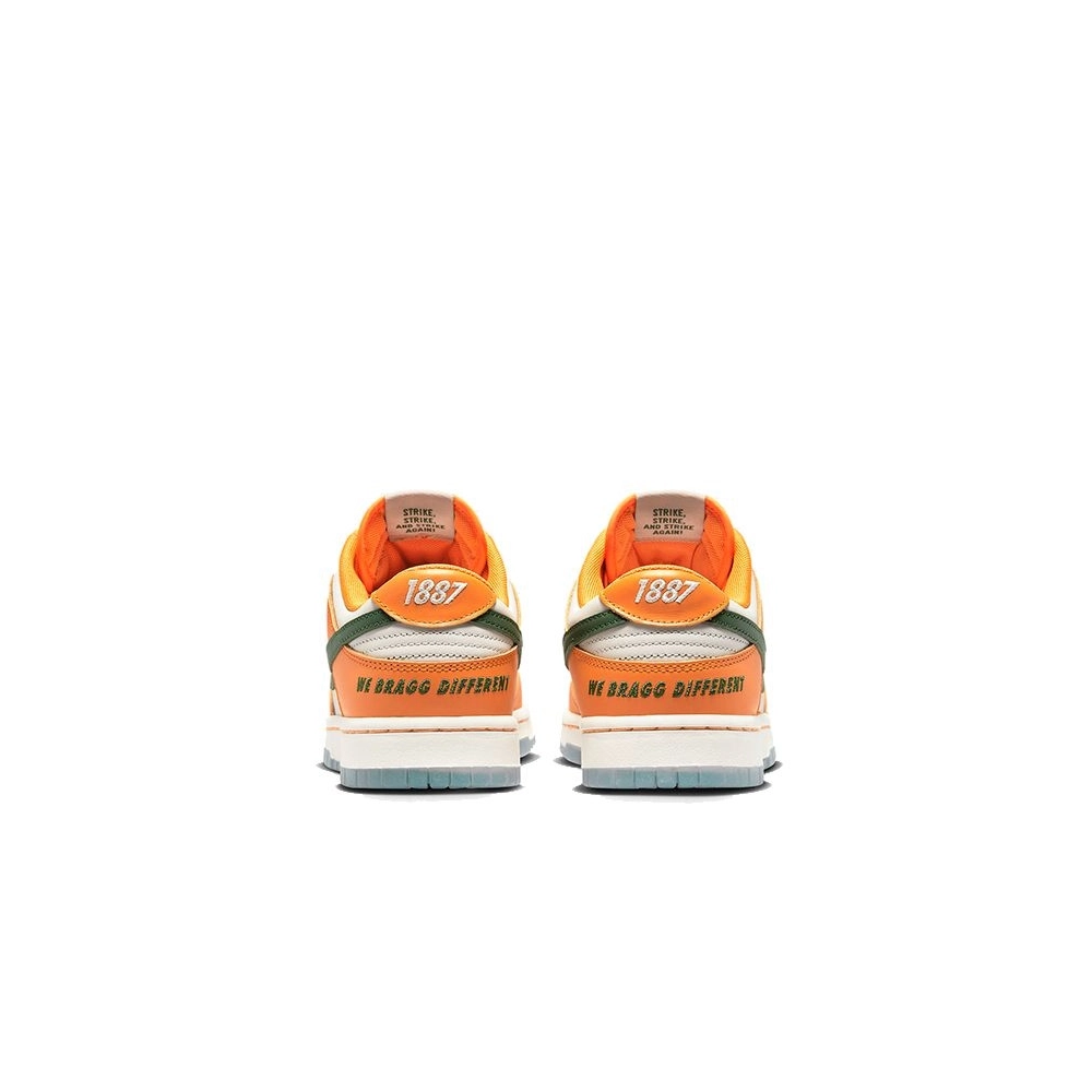 SB DUNK LOW,SB DUNK,NIKE SHOES,DR6188-800