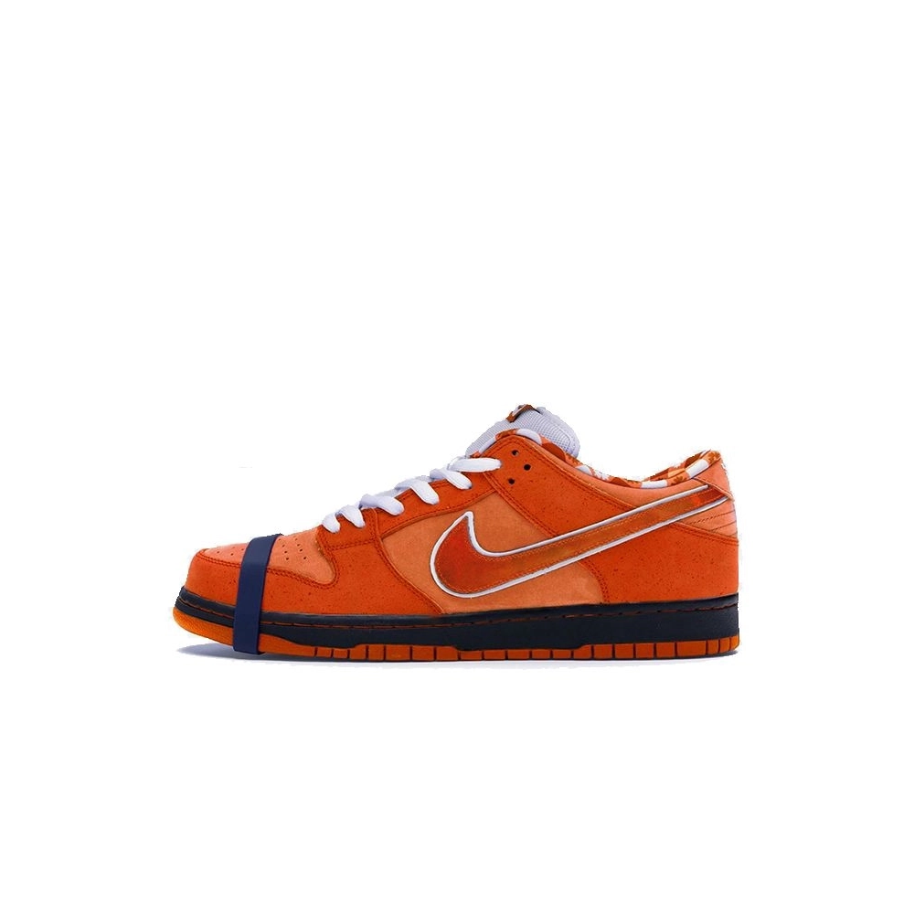 SB DUNK LOW,SB DUNK,NIKE SHOES,FD8776-800