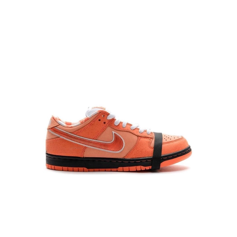 SB DUNK LOW,SB DUNK,NIKE SHOES,FD8776-800