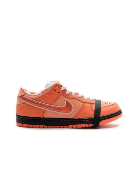 SB DUNK LOW,SB DUNK,NIKE SHOES,FD8776-800