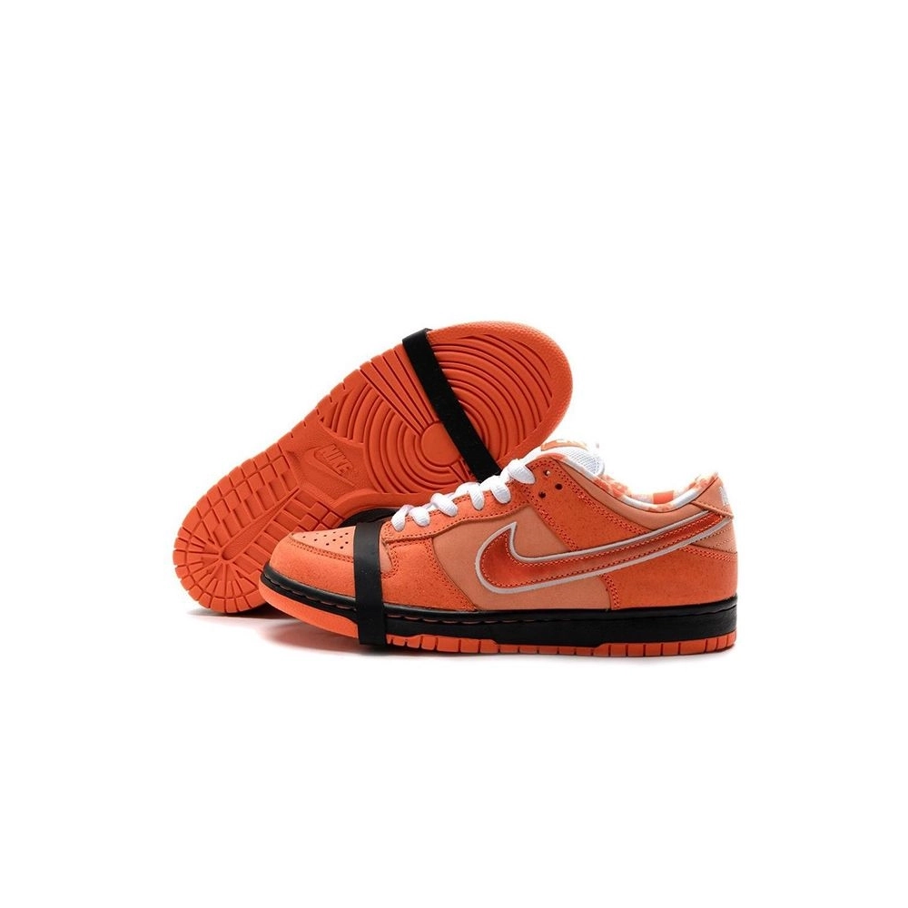 SB DUNK LOW,SB DUNK,NIKE SHOES,FD8776-800