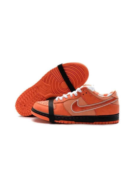 SB DUNK LOW,SB DUNK,NIKE SHOES,FD8776-800