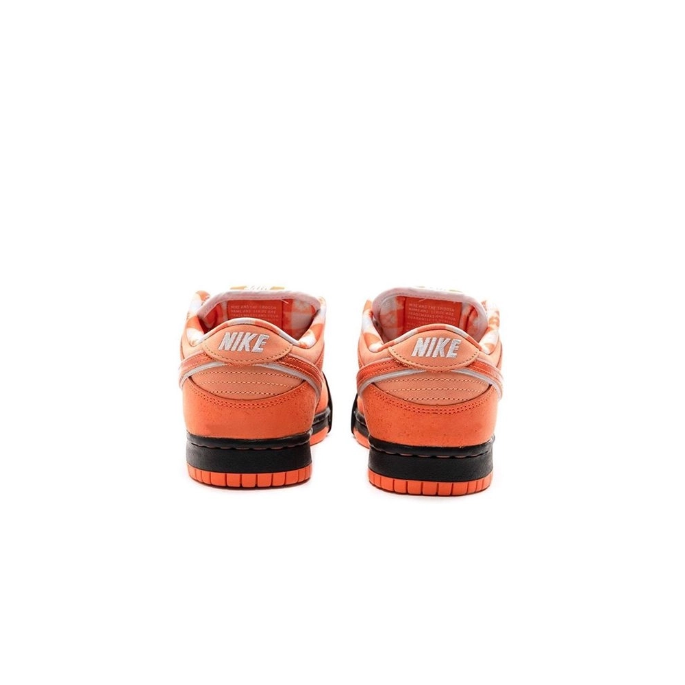 SB DUNK LOW,SB DUNK,NIKE SHOES,FD8776-800