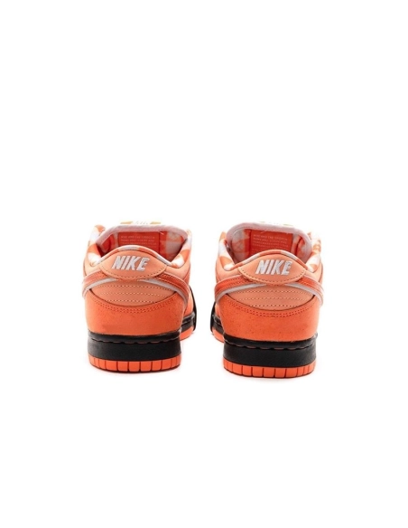 SB DUNK LOW,SB DUNK,NIKE SHOES,FD8776-800