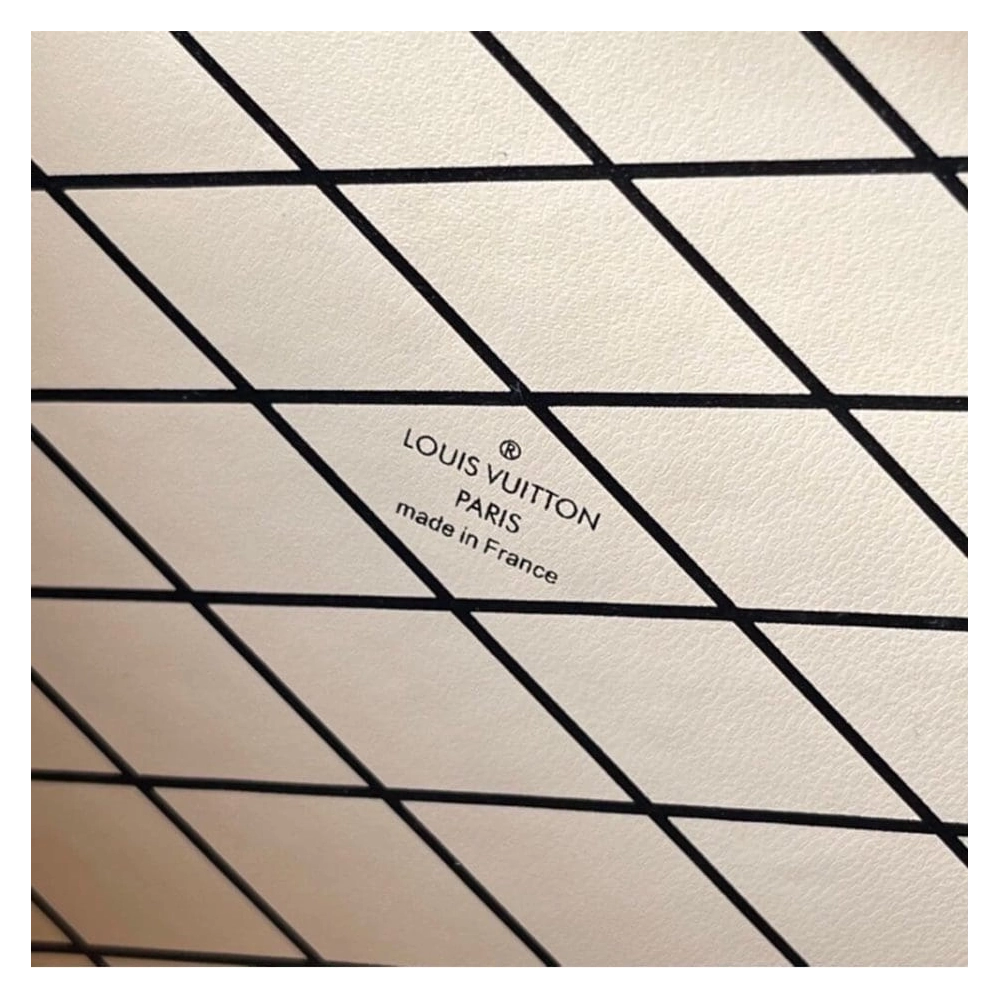 LV PETITE MALLE EAST WEST,Petite Malle,LOUIS VUITTON,BAGS