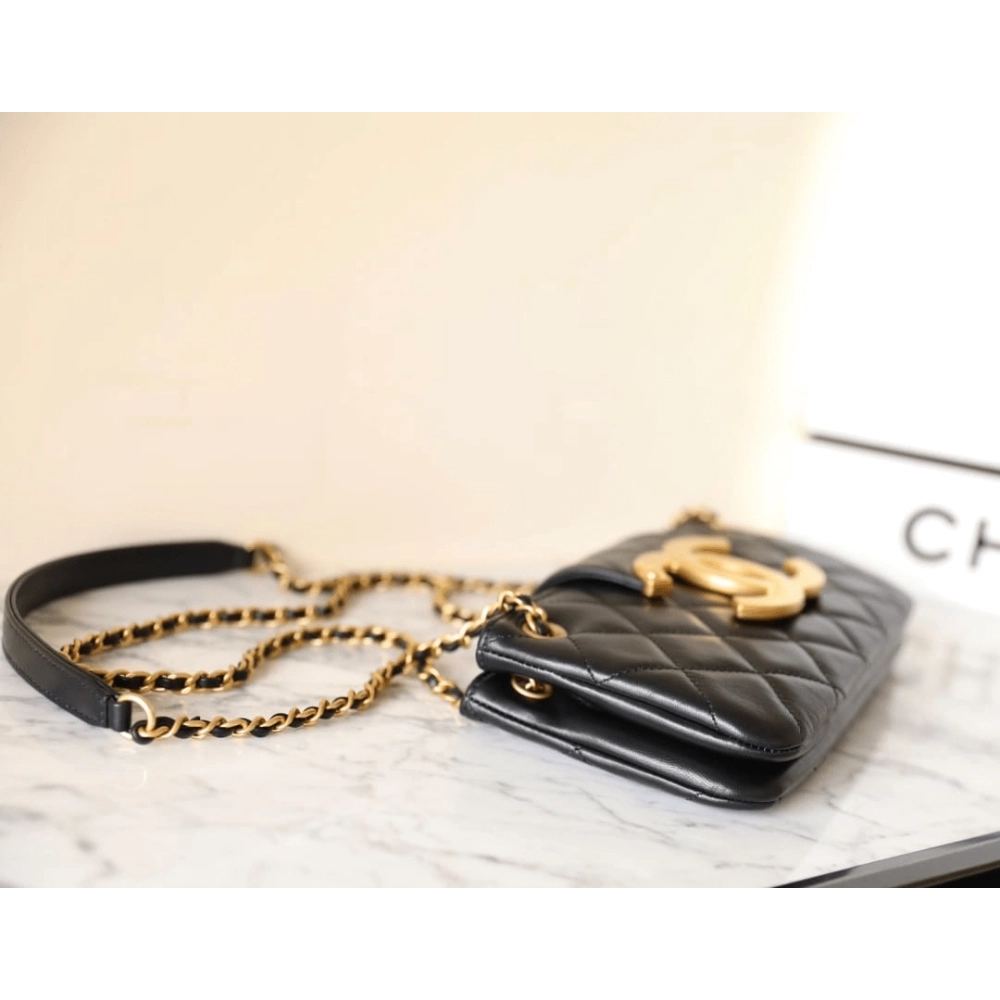 Chanel 2024 Early Spring Collection,CHANEL,BAGS