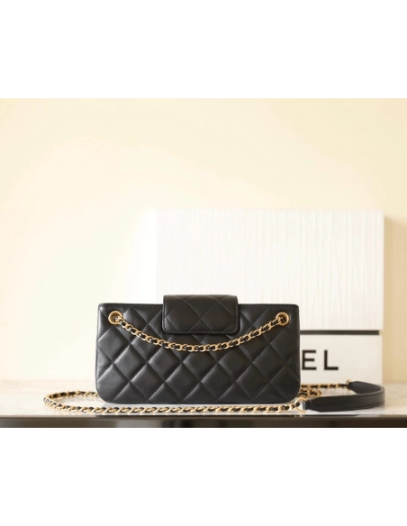 Chanel 2024 Early Spring Collection,CHANEL,BAGS