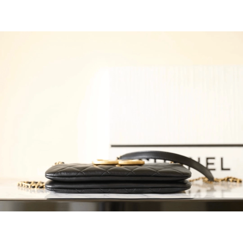 Chanel 2024 Early Spring Collection,CHANEL,BAGS