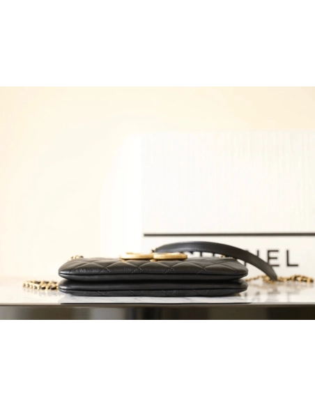 Chanel 2024 Early Spring Collection,CHANEL,BAGS