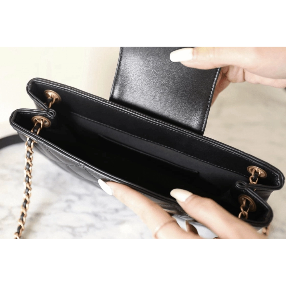 Chanel 2024 Early Spring Collection,CHANEL,BAGS