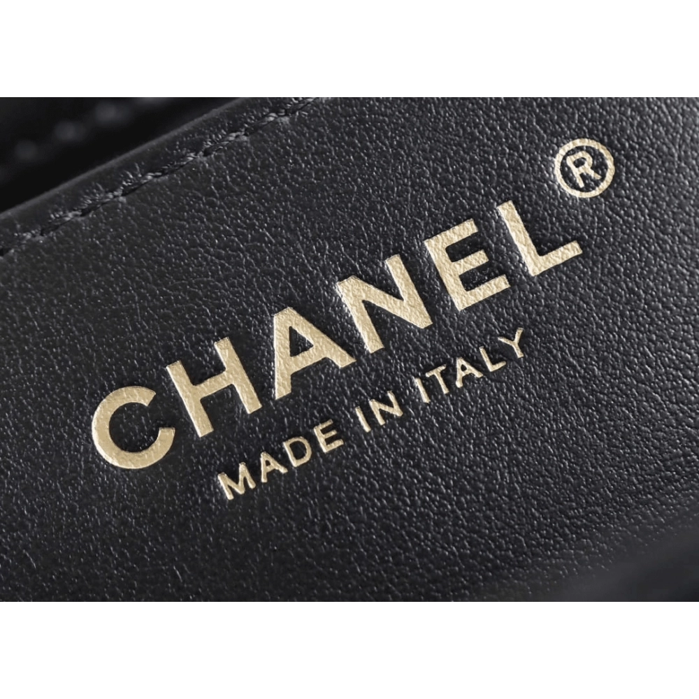 Chanel 2024 Early Spring Collection,CHANEL,BAGS