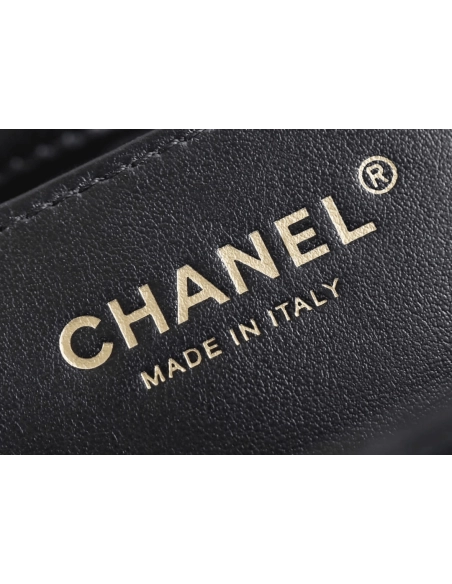 Chanel 2024 Early Spring Collection,CHANEL,BAGS