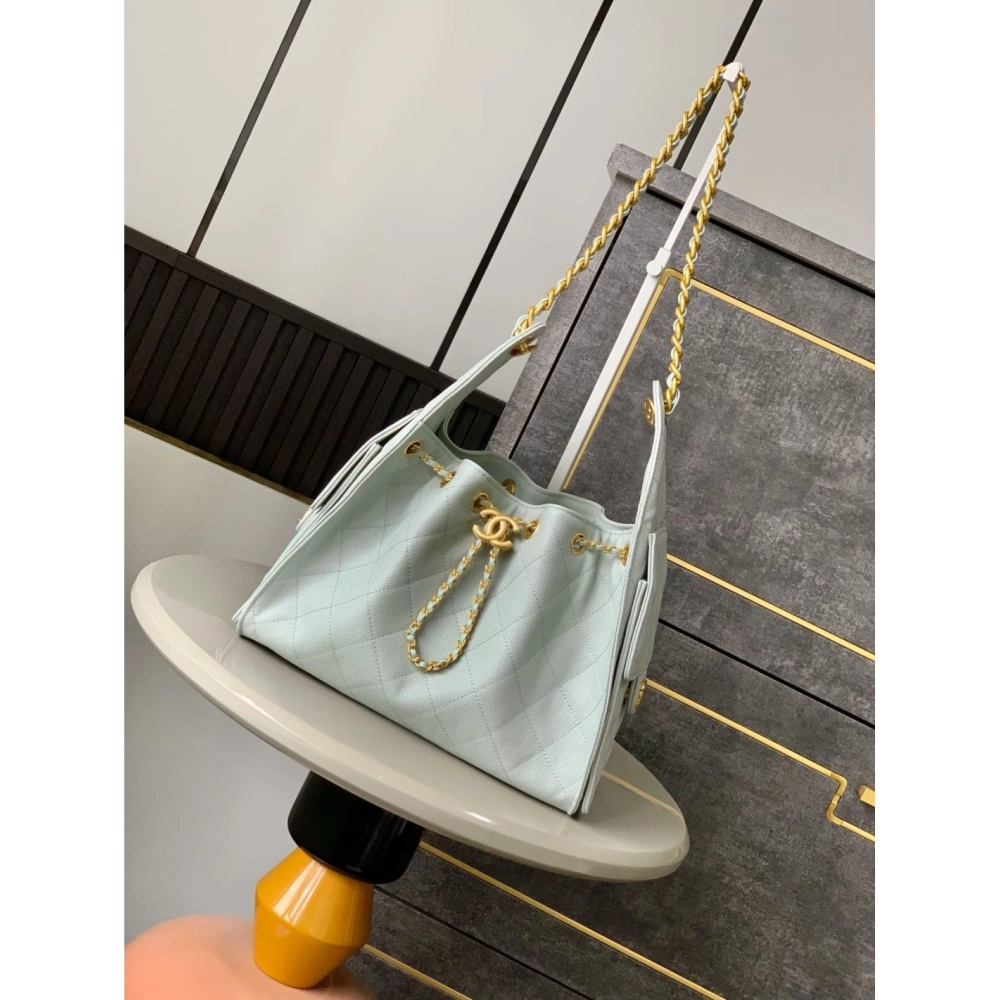 CHANEL 25 Small Handbag,CHANEL,BAGS