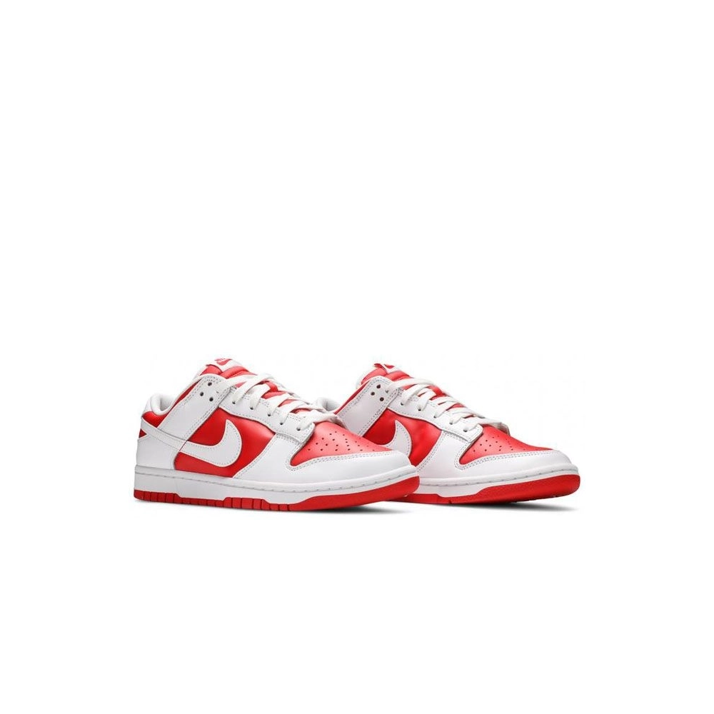 SB DUNK LOW,SB DUNK,NIKE SHOES,DD1391-600
