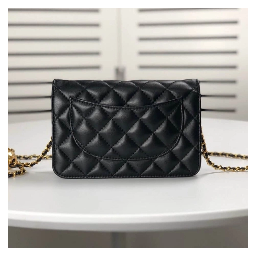 Chanel Chain WOC,CHANEL,BAGS