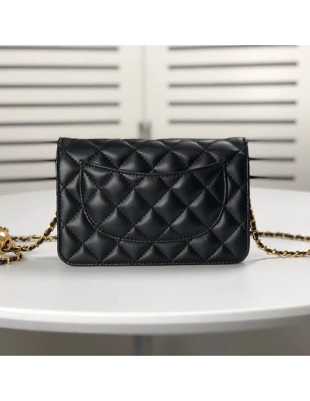 Chanel Chain WOC,CHANEL,BAGS