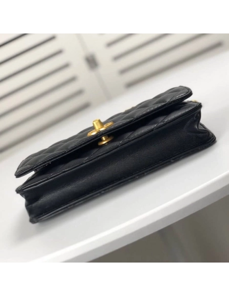 Chanel Chain WOC,CHANEL,BAGS