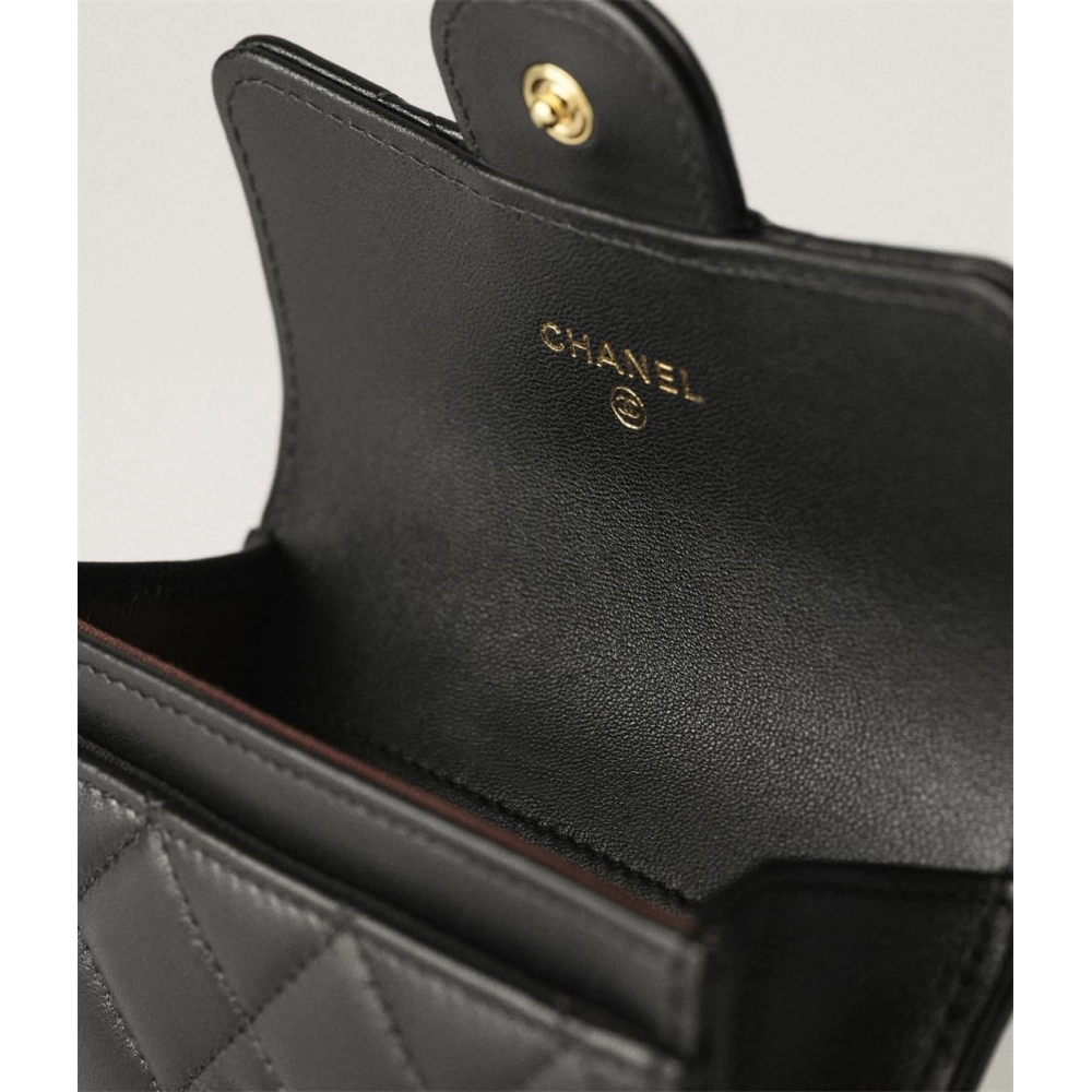 Chanel Classic Card Holder,CHANEL,BAGS
