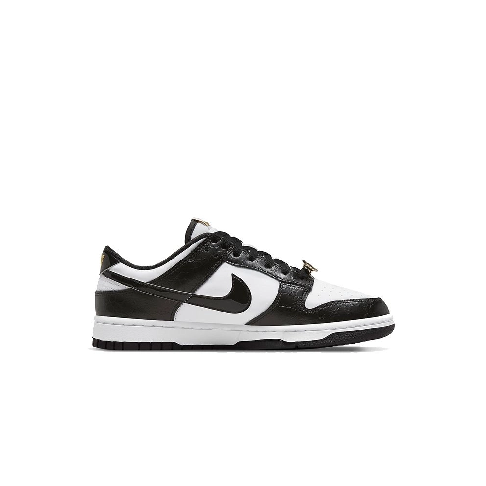 SB DUNK LOW,SB DUNK,NIKE SHOES,DR9511-100