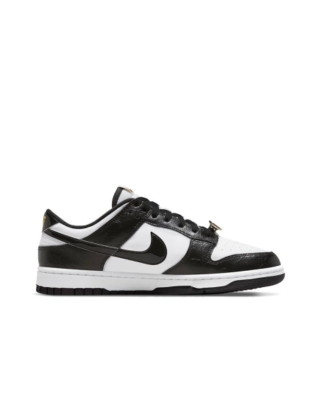 SB DUNK LOW,SB DUNK,NIKE SHOES,DR9511-100