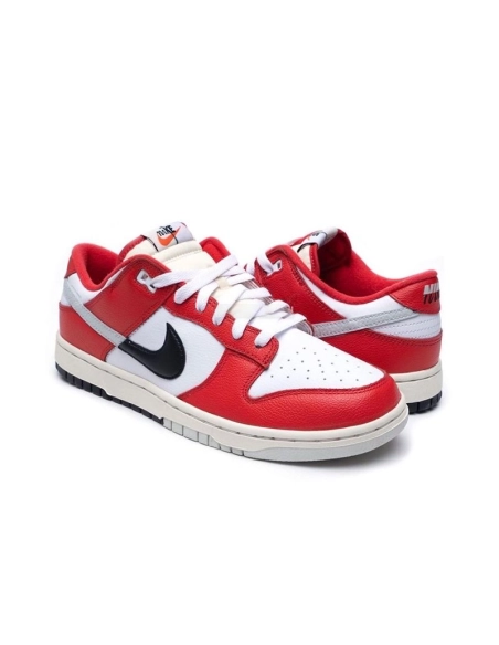 SB DUNK LOW,SB DUNK,NIKE SHOES,DZ2536-600