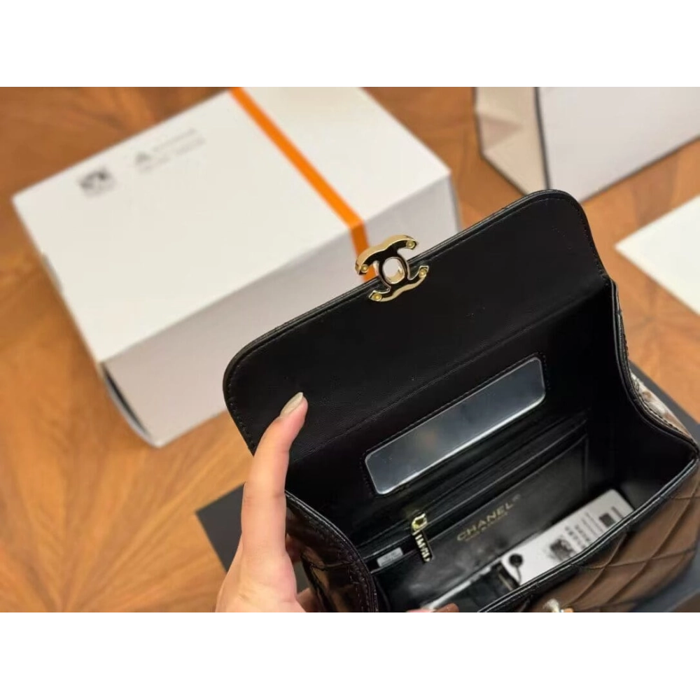 CHANEL Small CC Box Bag,CHANEL,BAGS