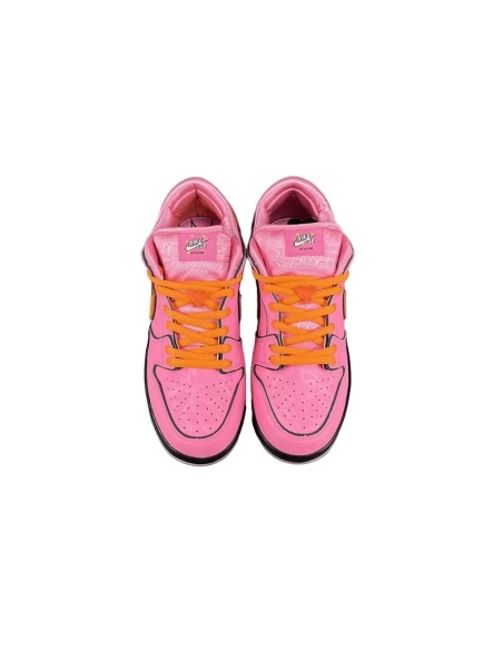 SB DUNK LOW,SB DUNK,NIKE SHOES,FD2631-600