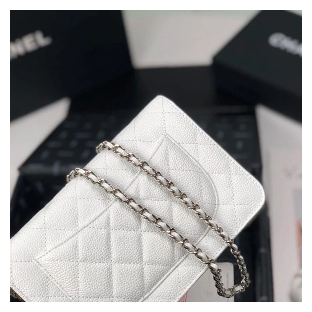 CHANEL Wallet On Chain AP0250,CHANEL,BAGS