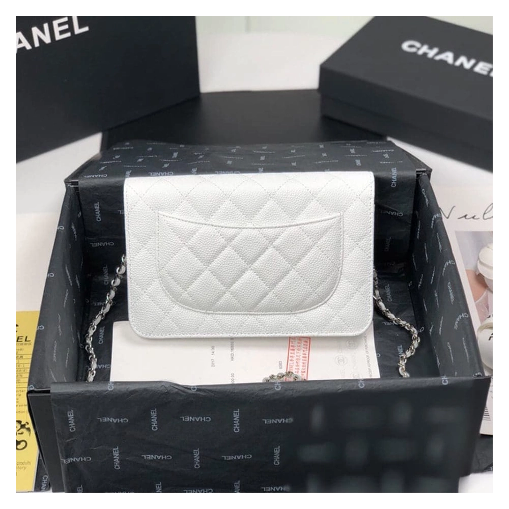 CHANEL Wallet On Chain AP0250,CHANEL,BAGS