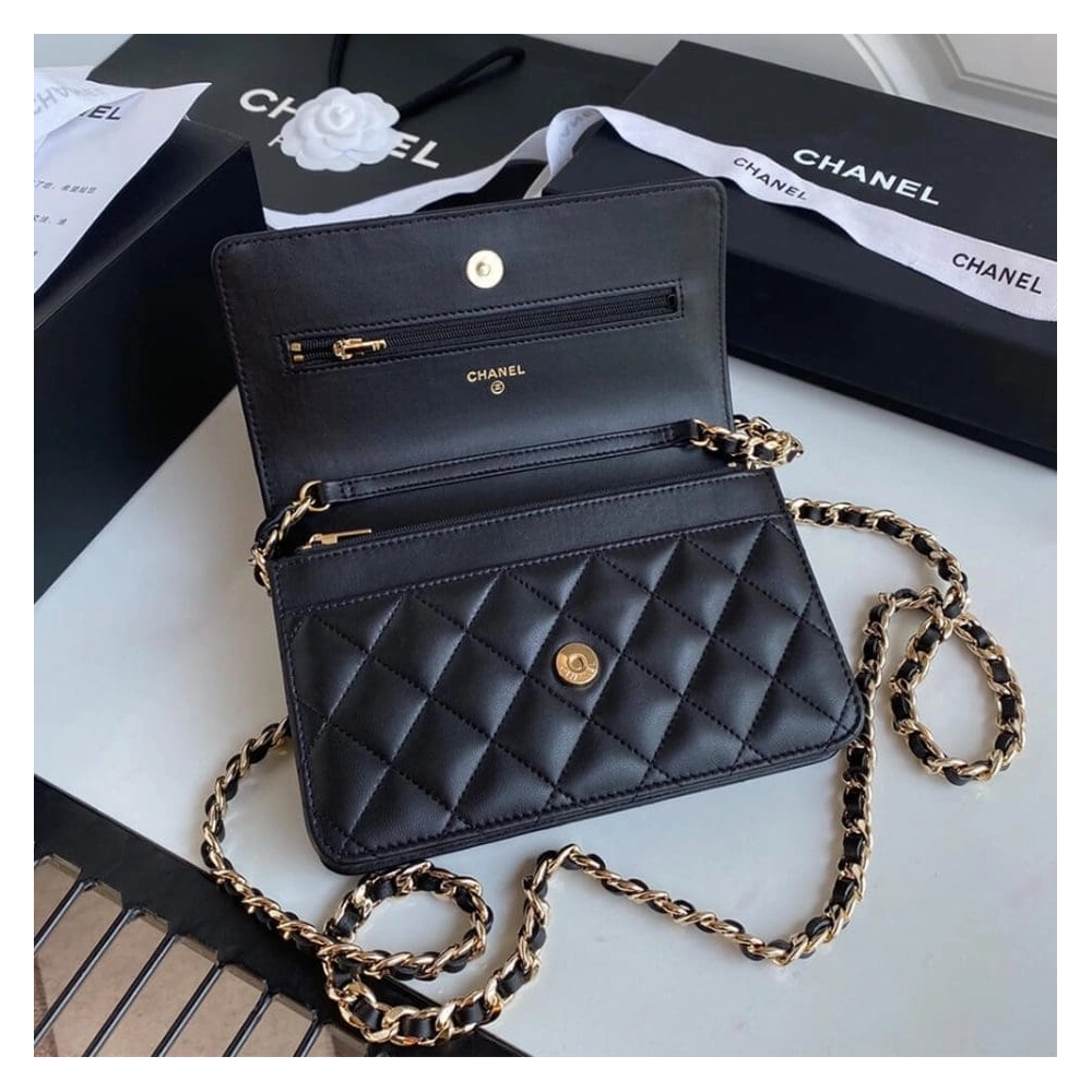 CHANEL Wallet On Chain AP1960,CHANEL,BAGS