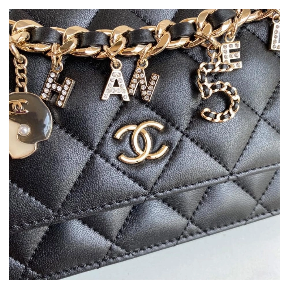 CHANEL Wallet On Chain AP1960,CHANEL,BAGS