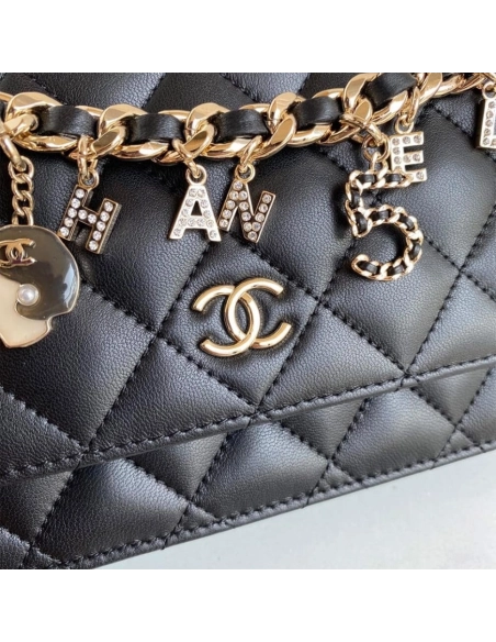 CHANEL Wallet On Chain AP1960,CHANEL,BAGS