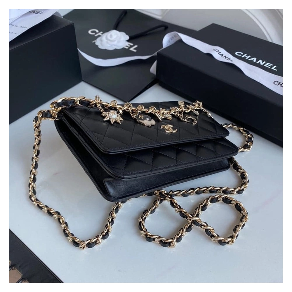 CHANEL Wallet On Chain AP1960,CHANEL,BAGS