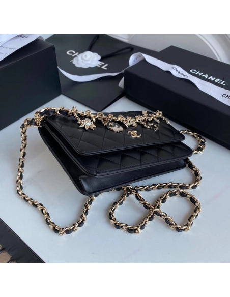 CHANEL Wallet On Chain AP1960,CHANEL,BAGS