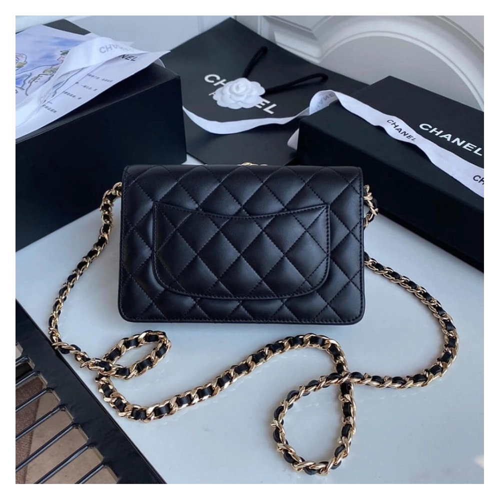 CHANEL Wallet On Chain AP1960,CHANEL,BAGS