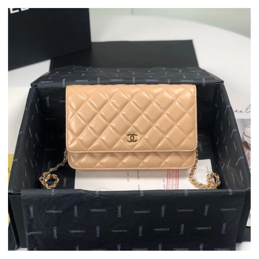 CHANEL WALLET ON CHAIN AP3054,CHANEL,BAGS