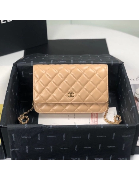 CHANEL WALLET ON CHAIN AP3054,CHANEL,BAGS