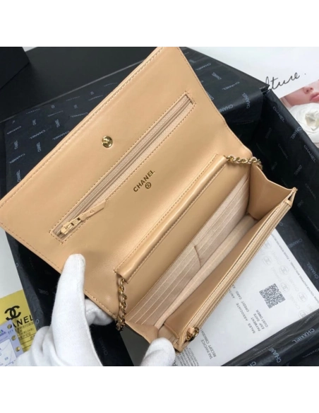 CHANEL WALLET ON CHAIN AP3054,CHANEL,BAGS