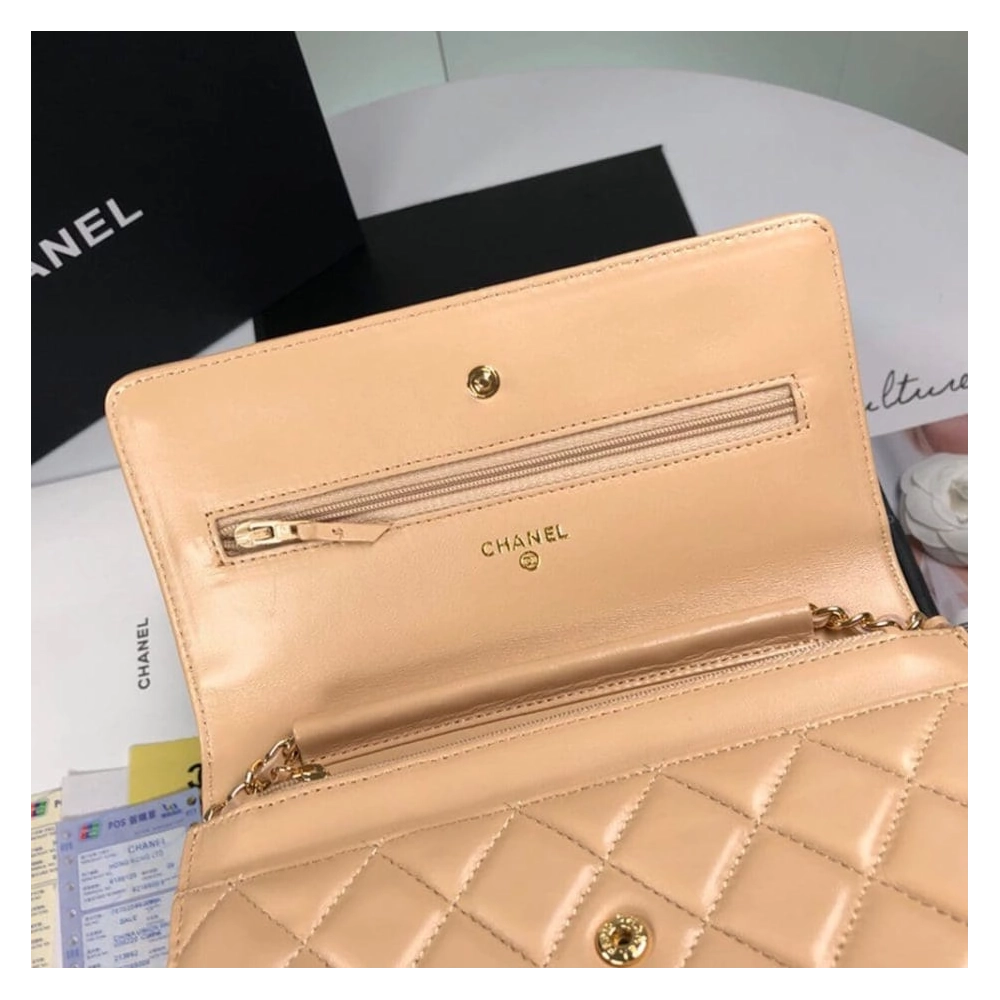 CHANEL WALLET ON CHAIN AP3054,CHANEL,BAGS