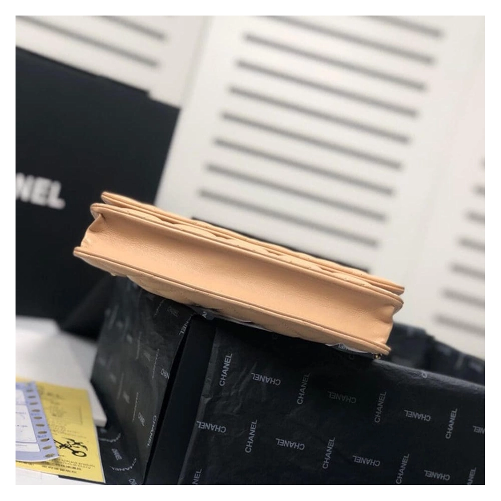 CHANEL WALLET ON CHAIN AP3054,CHANEL,BAGS