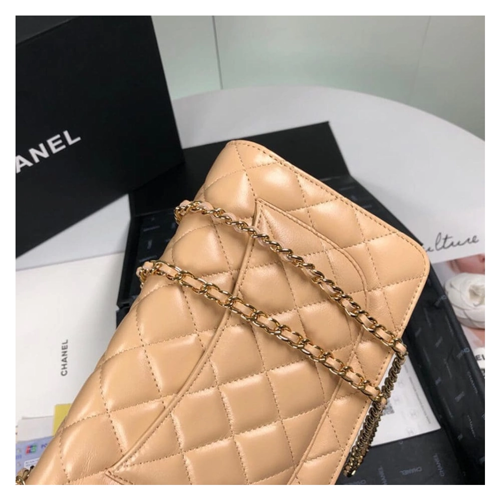 CHANEL WALLET ON CHAIN AP3054,CHANEL,BAGS